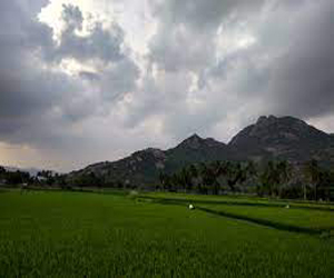 Kallakurichi